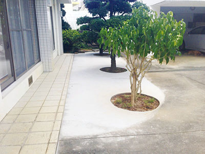 木を活かしたい