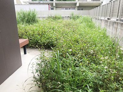 お庭の草刈り