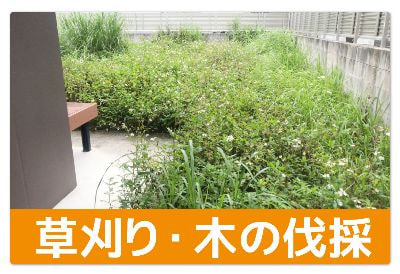 草刈り・木の伐採