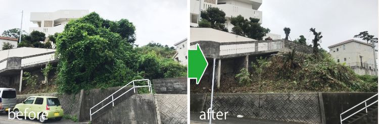 草刈り・木の伐採施工事例