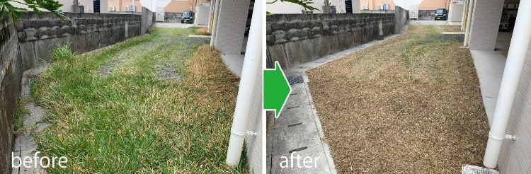 草刈り・木の伐採施工事例