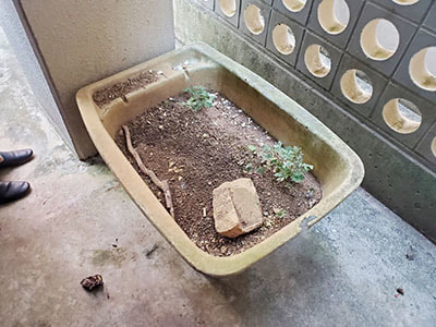 土入りプランター